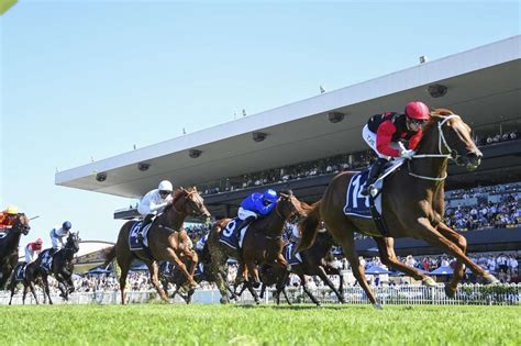 2023 Thousand Guineas Odds .